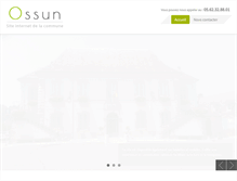 Tablet Screenshot of ossun.fr